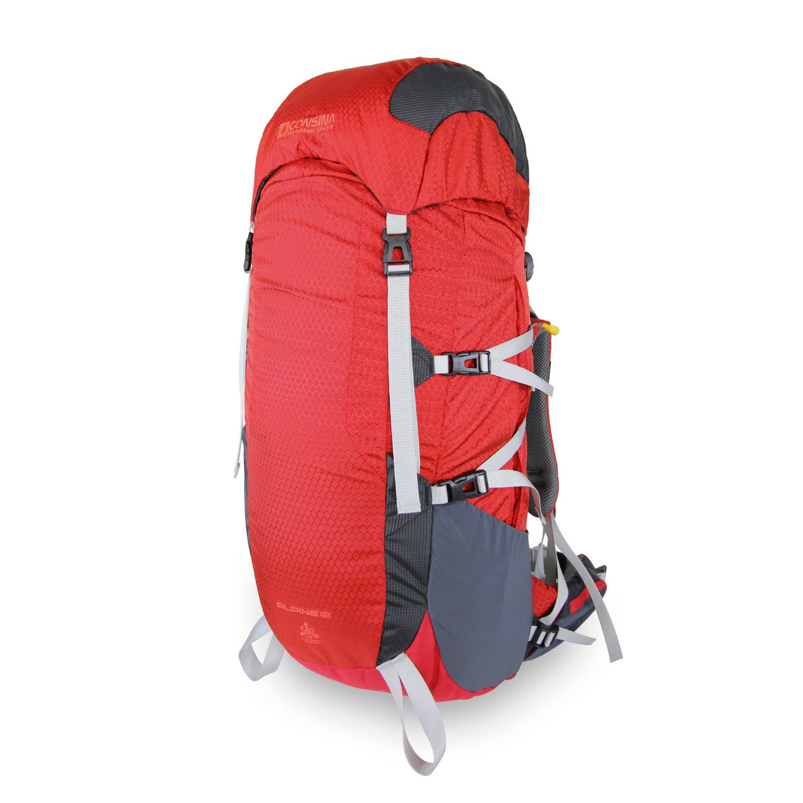 CONSINA ALPINE