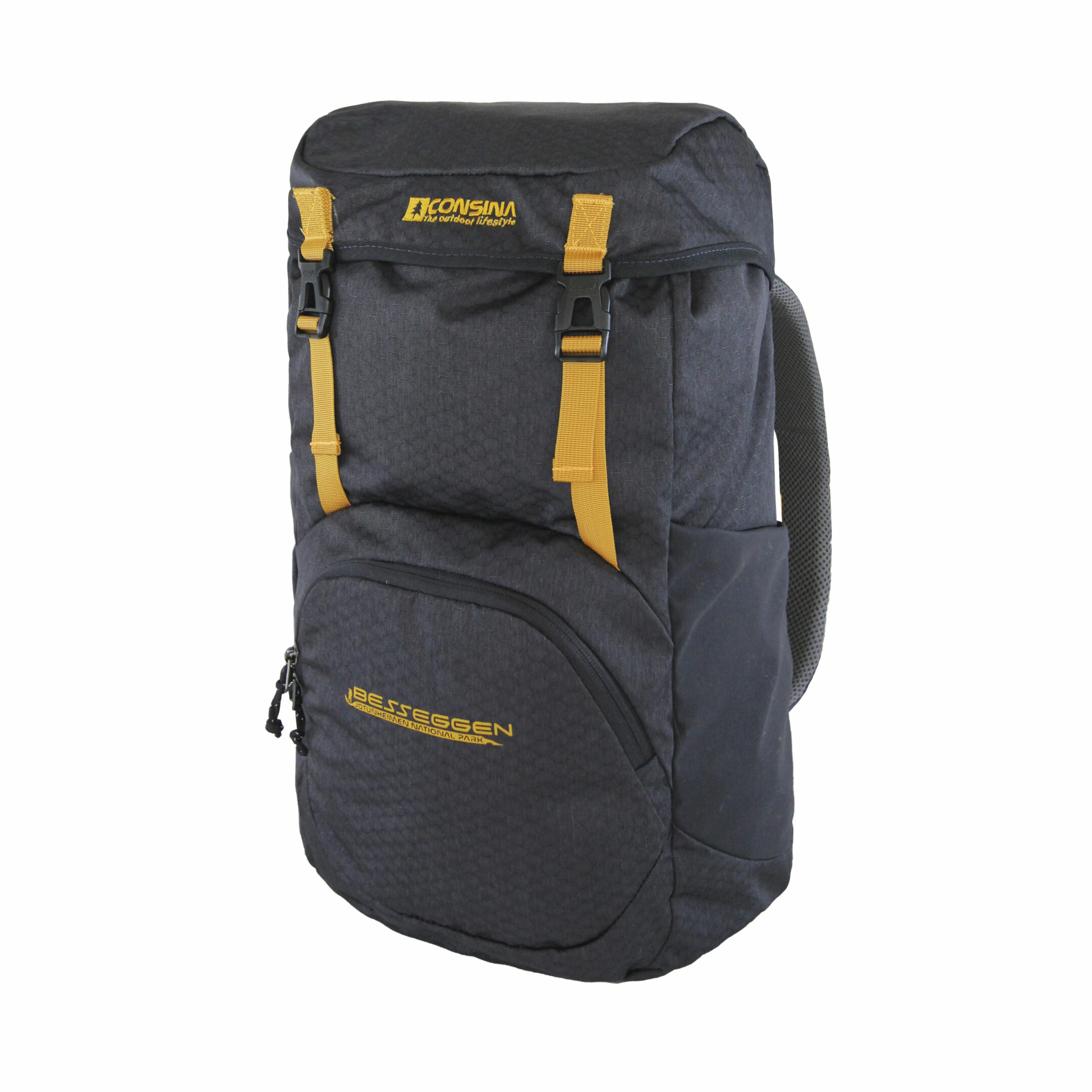 CONSINA BESSEGGEN